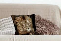 Sierkussens - Kussentjes Woonkamer - 40x40 Cm - Leeuw - Varen - Goud -Pillowmonkey 1200x800 1336