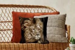 Sierkussens - Kussentjes Woonkamer - 40x40 Cm - Leeuw - Varen - Goud -Pillowmonkey 1200x800 1338