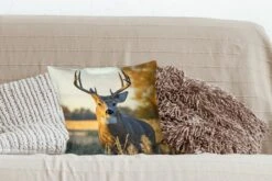 Sierkussens - Kussentjes Woonkamer - 40x40 Cm - Hert - Gras - Herfst - Gewei - Natuur - Dieren -Pillowmonkey 1200x800 1342