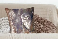 Sierkussens - Kussentjes Woonkamer - 60x60 Cm - Uil - Boom - Bos -Pillowmonkey 1200x800 1440