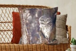 Sierkussens - Kussentjes Woonkamer - 60x60 Cm - Uil - Boom - Bos -Pillowmonkey 1200x800 1441