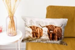 Sierkussens - Kussentjes Woonkamer - 50x30 Cm - Schotse Hooglander - Koe - Dieren - Natuur - Heide -Pillowmonkey 1200x800 1449