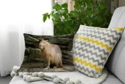 Sierkussens - Kussen - Een Capibara In Een Rotsachtige Omgeving - 50x30 Cm - Kussen Van Katoen 16 Sierkussens - Kussen - Een Capibara In Een Rotsachtige Omgeving - 50x30 Cm - Kussen Van Katoen -Pillowmonkey 1200x800 1496