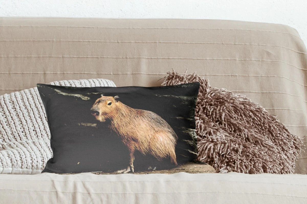 Sierkussens - Kussen - Een Capibara In Een Rotsachtige Omgeving - 50x30 Cm - Kussen Van Katoen 7 Sierkussens - Kussen - Een Capibara In Een Rotsachtige Omgeving - 50x30 Cm - Kussen Van Katoen - Afbeelding 5