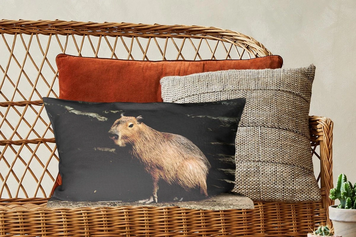 Sierkussens - Kussen - Een Capibara In Een Rotsachtige Omgeving - 50x30 Cm - Kussen Van Katoen 8 Sierkussens - Kussen - Een Capibara In Een Rotsachtige Omgeving - 50x30 Cm - Kussen Van Katoen - Afbeelding 6