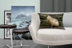 Sierkussens - Kussen - Een Capibara In Een Rotsachtige Omgeving - 50x30 Cm - Kussen Van Katoen 19 Sierkussens - Kussen - Een Capibara In Een Rotsachtige Omgeving - 50x30 Cm - Kussen Van Katoen -Pillowmonkey 1200x800 1499