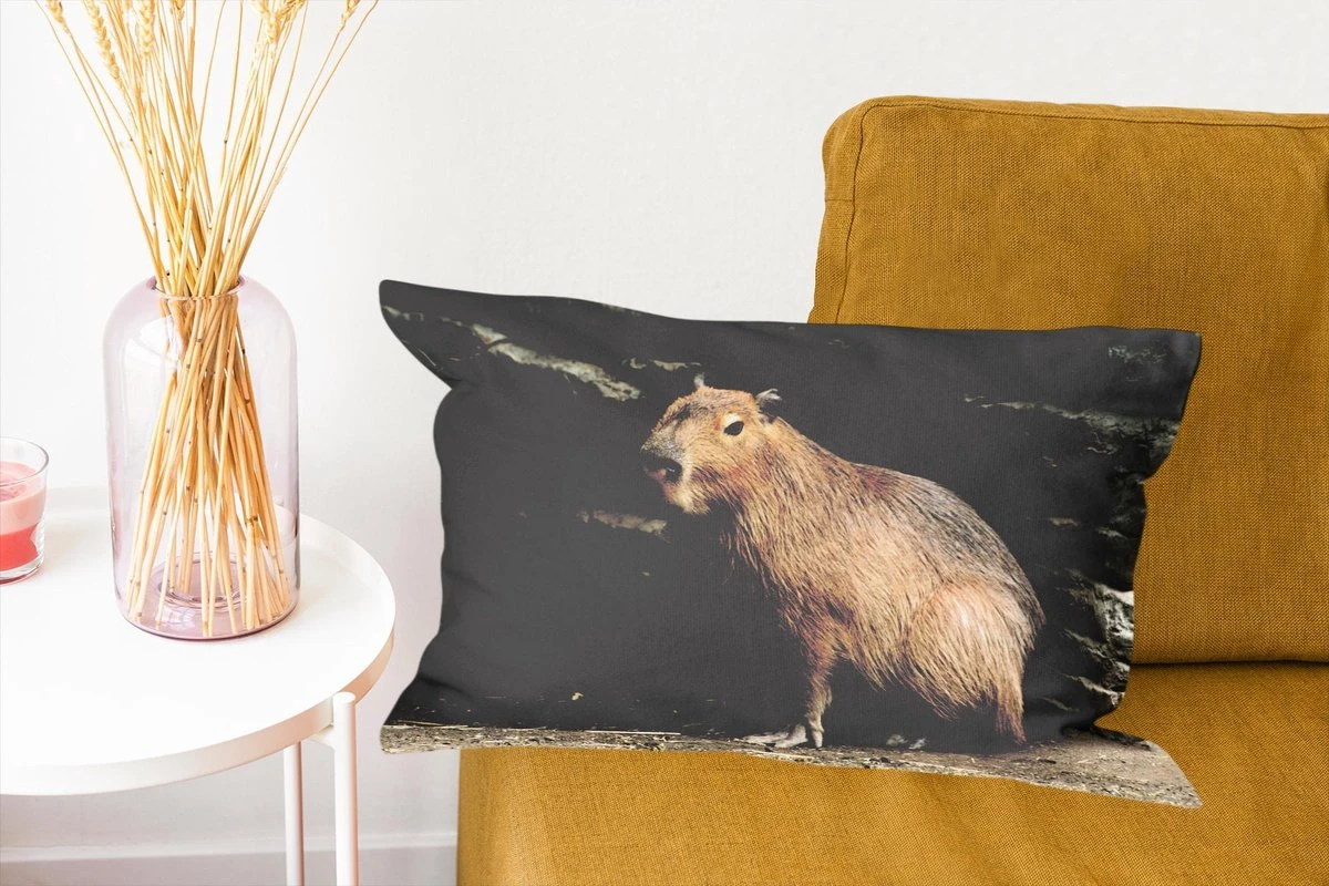 Sierkussens - Kussen - Een Capibara In Een Rotsachtige Omgeving - 50x30 Cm - Kussen Van Katoen 10 Sierkussens - Kussen - Een Capibara In Een Rotsachtige Omgeving - 50x30 Cm - Kussen Van Katoen - Afbeelding 8