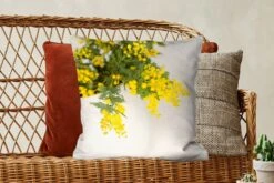 Sierkussens - Kussentjes Woonkamer - 50x50 Cm - Gele Mimosa Planten Met Groene Bladeren In Een Grote Pot 12 Sierkussens - Kussentjes Woonkamer - 50x50 Cm - Gele Mimosa Planten Met Groene Bladeren In Een Grote Pot -Pillowmonkey 1200x800 1536
