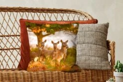 Sierkussens - Kussentjes Woonkamer - 45x45 Cm - Bosdieren - Herten - Licht -Pillowmonkey 1200x800 1583
