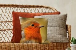 Sierkussens - Kussentjes Woonkamer - 40x40 Cm - Vogel - Roodborstje - Portret 12 Sierkussens - Kussentjes Woonkamer - 40x40 Cm - Vogel - Roodborstje - Portret -Pillowmonkey 1200x800 1586