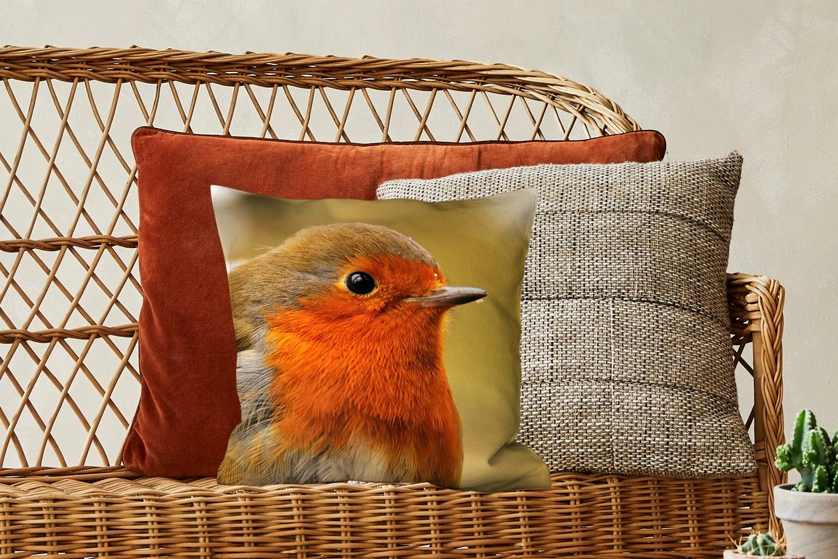 Sierkussens - Kussentjes Woonkamer - 40x40 Cm - Vogel - Roodborstje - Portret 7 Sierkussens - Kussentjes Woonkamer - 40x40 Cm - Vogel - Roodborstje - Portret - Afbeelding 5