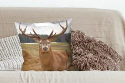 Sierkussen - Herten Natuur Weiland - Bruin - 50 Cm X 50 Cm -Pillowmonkey 1200x800 1589