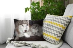 Sierkussens - Kussen - Grote Hond Met Een Kleine Pup Op De Bank - 50x30 Cm - Kussen Van Katoen -Pillowmonkey 1200x800 1665