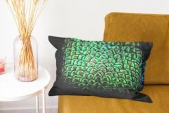 Sierkussens - Kussen - De Gedetailleerde Vacht Van Een Groene Pauw - 50x30 Cm - Kussen Van Katoen -Pillowmonkey 1200x800 1684
