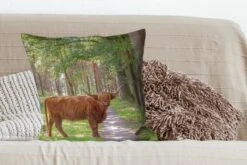 Sierkussens - Kussentjes Woonkamer - 60x60 Cm - Bos - Schotse Hooglander - Licht -Pillowmonkey 1200x800 1830