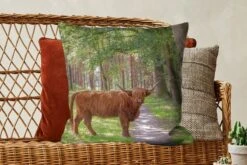 Sierkussens - Kussentjes Woonkamer - 60x60 Cm - Bos - Schotse Hooglander - Licht -Pillowmonkey 1200x800 1831
