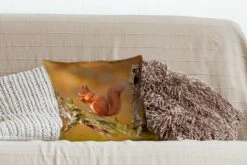 Sierkussens - Kussentjes Woonkamer - 40x40 Cm - Rode Eekhoorn In De Herfst 11 Sierkussens - Kussentjes Woonkamer - 40x40 Cm - Rode Eekhoorn In De Herfst -Pillowmonkey 1200x800 1833