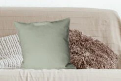 Sierkussens - Kussentjes Woonkamer - 50x50 Cm - Kleur - Mintgroen - Interieur -Pillowmonkey 1200x800 1853