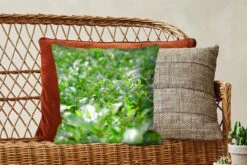 Sierkussens - Kussentjes Woonkamer - 45x45 Cm - Groene Planten Op Ondergrond Van Tropisch Gebied -Pillowmonkey 1200x800 1883