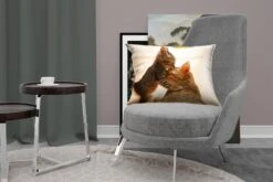 Sierkussens - Kussen - Kat Knuffelend Met Kitten - 60x40 Cm - Kussen Van Katoen -Pillowmonkey 1200x800 1930
