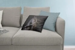 Sierkussens - Kussen - Portret Van Een Paard Met Lange Manen Op Een Zwarte Achtergrond - 60x40 Cm - Kussen Van Katoen -Pillowmonkey 1200x800 1971