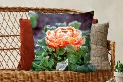 Sierkussen - Bloem Winter - Multicolor - 60 Cm X 60 Cm 12 Sierkussen - Bloem Winter - Multicolor - 60 Cm X 60 Cm -Pillowmonkey 1200x800 1977