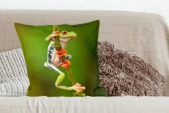 Sierkussens - Kussentjes Woonkamer - 60x60 Cm - Roodoogmakikikker In De Jungle -Pillowmonkey 1200x800 2025