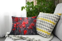 Sierkussens - Kussen - Rode Klaprozen In Een Zwart Wit Afbeelding - 50x30 Cm - Kussen Van Katoen -Pillowmonkey 1200x800 2028