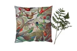 Sierkussens - Kussentjes Woonkamer - 60x60 Cm - Kolibrie - Vintage - Ernst Haeckel - Vogel - Kunst - Natuur