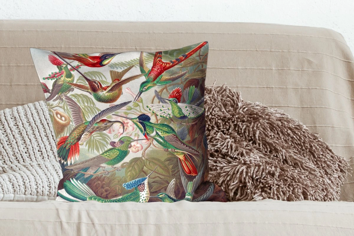 Sierkussens - Kussentjes Woonkamer - 60x60 Cm - Kolibrie - Vintage - Ernst Haeckel - Vogel - Kunst - Natuur 6 Sierkussens - Kussentjes Woonkamer - 60x60 Cm - Kolibrie - Vintage - Ernst Haeckel - Vogel - Kunst - Natuur - Afbeelding 4