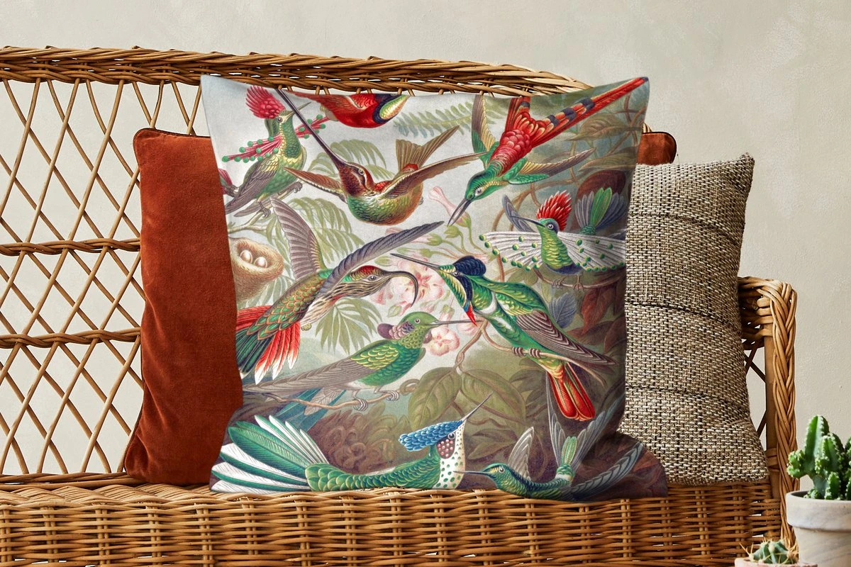Sierkussens - Kussentjes Woonkamer - 60x60 Cm - Kolibrie - Vintage - Ernst Haeckel - Vogel - Kunst - Natuur 7 Sierkussens - Kussentjes Woonkamer - 60x60 Cm - Kolibrie - Vintage - Ernst Haeckel - Vogel - Kunst - Natuur - Afbeelding 5