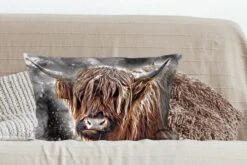 Sierkussens - Kussentjes Woonkamer - 60x40 Cm - Schotse Hooglander - Verf - Koe -Pillowmonkey 1200x800 2124
