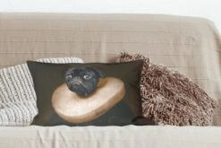 Sierkussens - Kussentjes Woonkamer - 50x30 Cm - Schilderij - Mopshond - Oude Meesters -Pillowmonkey 1200x800 2137