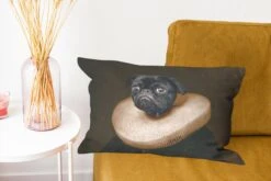 Sierkussens - Kussentjes Woonkamer - 50x30 Cm - Schilderij - Mopshond - Oude Meesters -Pillowmonkey 1200x800 2139