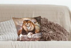 Sierkussens - Kussentjes Woonkamer - 40x40 Cm - Leeuw - Rots - Dieren -Pillowmonkey 1200x800 2218