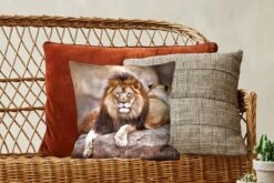 Sierkussens - Kussentjes Woonkamer - 40x40 Cm - Leeuw - Rots - Dieren -Pillowmonkey 1200x800 2219