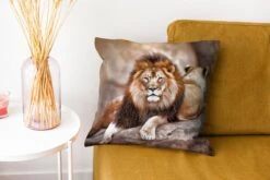 Sierkussens - Kussentjes Woonkamer - 40x40 Cm - Leeuw - Rots - Dieren -Pillowmonkey 1200x800 2220