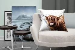 Sierkussens - Kussentjes Woonkamer - 50x50 Cm - Schotse Hooglander - Schotse Koe -Pillowmonkey 1200x800 2223