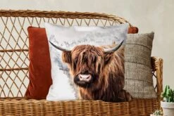 Sierkussens - Kussentjes Woonkamer - 50x50 Cm - Schotse Hooglander - Schotse Koe -Pillowmonkey 1200x800 2224