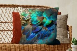 Sierkussens - Kussentjes Woonkamer - 60x60 Cm - Veren - Pauwveren - Pauw - Blauw - Kunst -Pillowmonkey 1200x800 2278