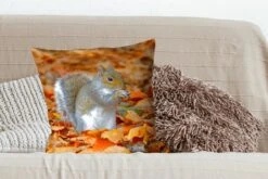 Sierkussens - Kussentjes Woonkamer - 50x50 Cm - Eekhoorn Tussen De Herfstbladeren -Pillowmonkey 1200x800 2282