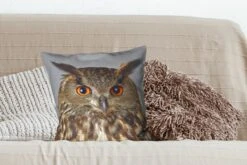 Sierkussens - Kussentjes Woonkamer - 45x45 Cm - Bruine Uil Met Lichtblauwe Achtergrond -Pillowmonkey 1200x800 2333