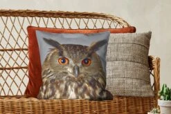 Sierkussens - Kussentjes Woonkamer - 45x45 Cm - Bruine Uil Met Lichtblauwe Achtergrond -Pillowmonkey 1200x800 2334