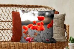 Sierkussen - Rode Klaprozen Tegen Zwarte Met Witte Achtergrond - Multicolor - 50 Cm X 50 Cm -Pillowmonkey 1200x800 2345