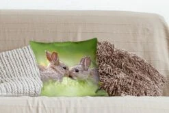 Sierkussen - Konijnen Baby Gras - Multicolor - 40 Cm X 40 Cm -Pillowmonkey 1200x800 2427