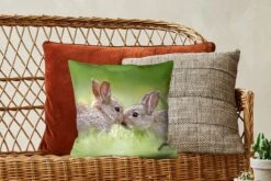 Sierkussen - Konijnen Baby Gras - Multicolor - 40 Cm X 40 Cm -Pillowmonkey 1200x800 2428
