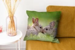 Sierkussen - Konijnen Baby Gras - Multicolor - 40 Cm X 40 Cm -Pillowmonkey 1200x800 2429