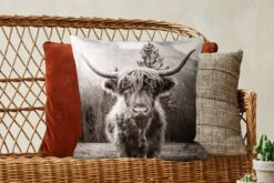 Kussenhoes 50x50 Cm - Schotse Hooglander - Dieren - Zwart - Wit - Katoen / Polyester - Voor Binnen -Pillowmonkey 1200x800 243