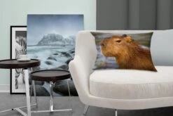 Sierkussens - Kussen - Een Close Up Van Het Hoofd Van Een Capibara - 50x30 Cm - Kussen Van Katoen -Pillowmonkey 1200x800 2437