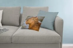 Sierkussens - Kussen - Een Close Up Van Het Hoofd Van Een Capibara - 50x30 Cm - Kussen Van Katoen -Pillowmonkey 1200x800 2440